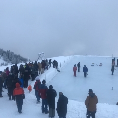 Curling einer Firma 2